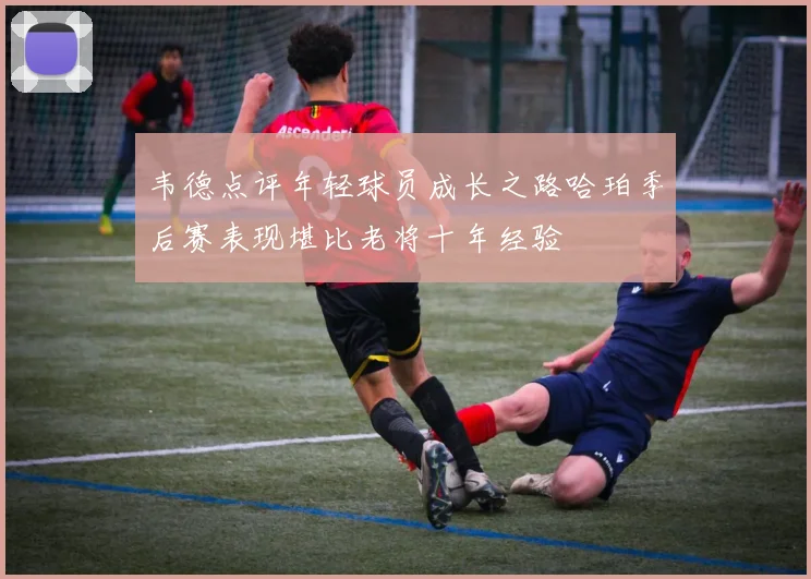 韦德点评年轻球员成长之路哈珀季后赛表现堪比老将十年经验